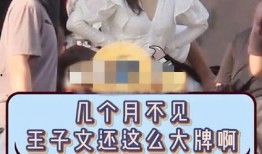 娱记爆料王子文视频