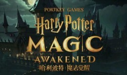 哈利波特最新活动爆料,神秘新篇章，魔法世界再掀波澜！