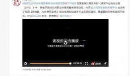 录视频爆料,背后真相与幕后推手