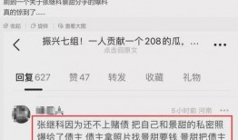 记者爆料张继科借条视频,揭秘背后惊人真相