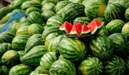 全国网红吃瓜网站大全,揭秘全国网红吃瓜网站大全