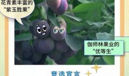 顶流吃瓜小说在线阅读免费,吃瓜群众眼中的娱乐圈风云