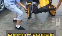 电出租车最新爆料,揭秘最新爆料背后的变革与机遇