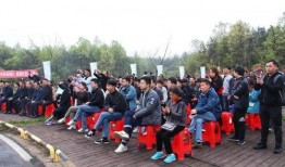 六安爆料小杨哥最新,揭秘网络红人的背后故事与争议”