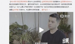 张天翼妻子爆料视频,揭秘夫妻恩怨与家庭真相