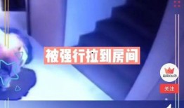 金辉爆料最新消息视频播放,视频内容深度解析