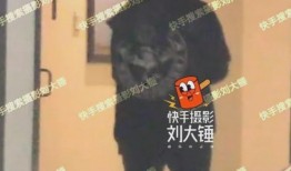 冯绍峰爆料大学生视频