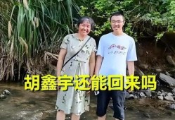 胡鑫宇事件最新爆料,揭秘校园悲剧背后的真相
