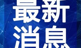 最新乐高爆料新闻视频大全,揭秘新品、玩法与未来趋势
