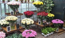 花店老板爆料怎么办呢视频