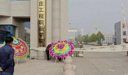 石家庄爆料藁城事件最新消息,疫情管控升级，居民生活受影响