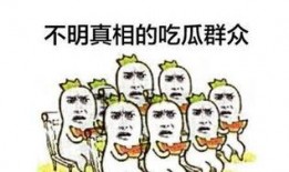 吃瓜群众全集免费看,揭秘娱乐圈幕后真相，免费畅享精彩瞬间