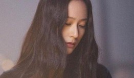 郑秀晶爆料世勋视频大全,独家爆料背后的故事