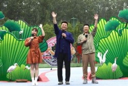 姐夫哥爆料王胖最新视频,姐夫哥爆料背后的惊人真相