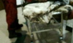 赵县爆料最新事件新闻,揭秘背后真相，引发社会关注