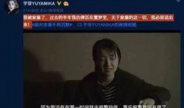 成源家暴爆料视频最新,真相与反思