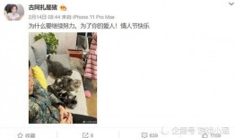 阿友最新爆料视频,热点事件背后真相曝光