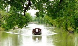 青草在线观看,踏青之旅，共赴春日盛宴