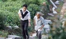 采茶老太爆料视频大全集,视频大全集深度解析