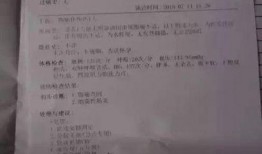 某火锅店爆料事件视频,一探究竟，揭秘幕后真相