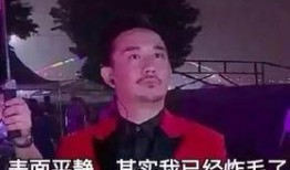 黄磊知乎爆料视频大全集,揭秘娱乐圈背后的真实故事