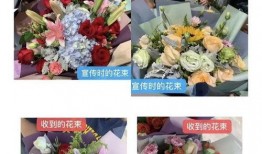 花店老板爆料怎么办呢视频