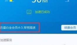 迅雷在线观看违法,揭秘网络版权乱象