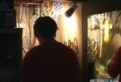 在线观看拜访者,揭秘虚拟拜访者的魅力与挑战