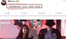 泰兴爆料小三视频播放全集,全程揭秘，真相大白
