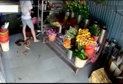 花店老板爆料怎么办呢视频
