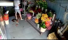 花店老板爆料怎么办呢视频