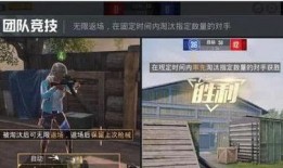 最近爆料和平精英视频,最新视频爆料背后的秘密与精彩瞬间