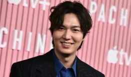 李敏镐最新爆料视频播放,演艺生涯背后的故事与感悟