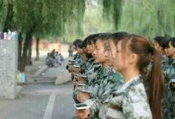 教官爆料曹操视频大全,曹操视频大全背后的历史真相