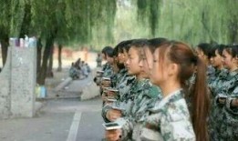 教官爆料曹操视频大全,曹操视频大全背后的历史真相