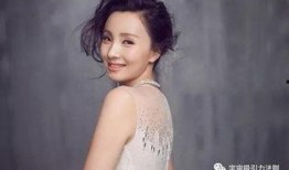 综艺爆料陶虹视频全集,笑料百出，情感真挚，生活百态尽收眼底