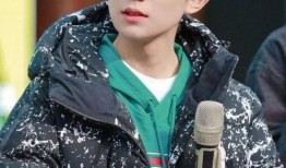 王源近日爆料视频大全最新,揭秘明星幕后生活点滴