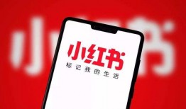 小红书最新爆料信息,明星私生活大揭秘，幕后故事令人震惊